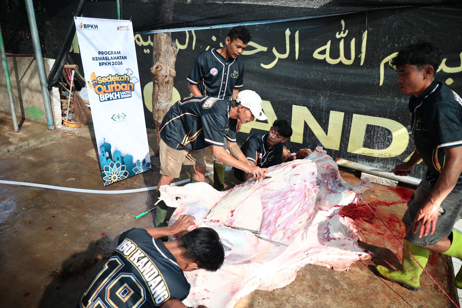 Program Sedekah Kurban BPKH 1447 Hijriah