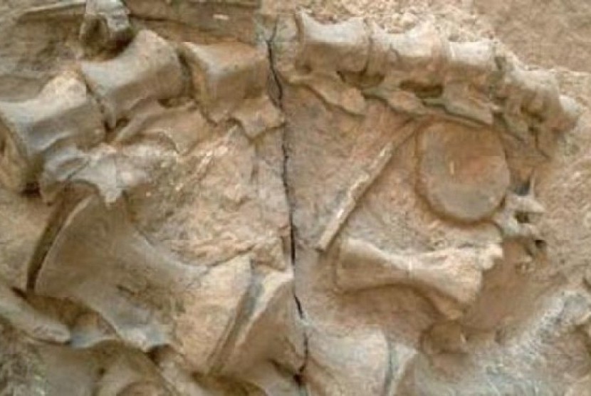 Bukti Jejak Manusia Tertua Ditemukan di Arab Saudi