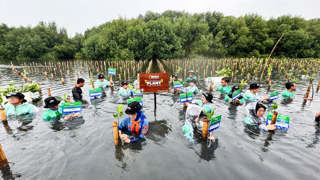 Ikut Lestarikan Lingkungan, BPKH Tanam 1000 Mangrove di Pesisir Jakarta